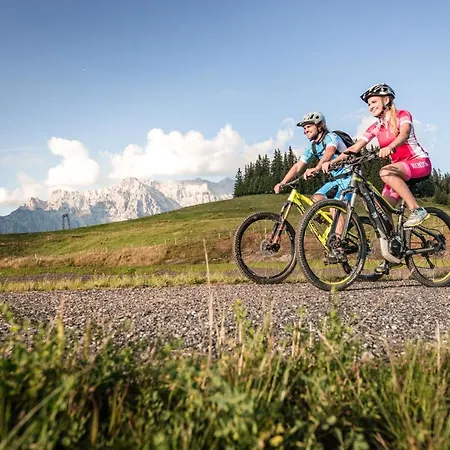 Der Almhof Ξενοδοχείο Maria Alm am Steinernen Meer