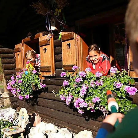 Der Almhof Hotel