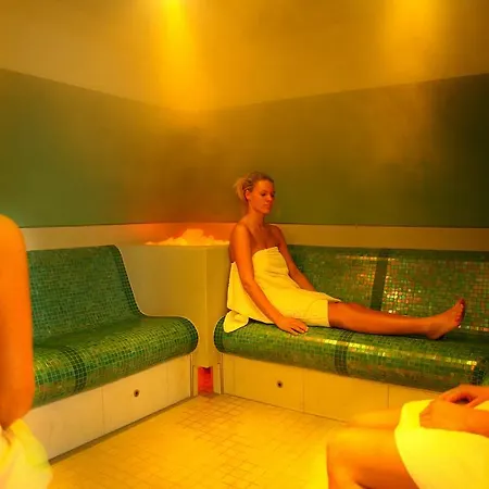 德尔奥姆豪夫酒店 4* 玛丽亚埃姆安斯泰内嫩米尔