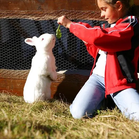德尔奥姆豪夫酒店 玛丽亚埃姆安斯泰内嫩米尔